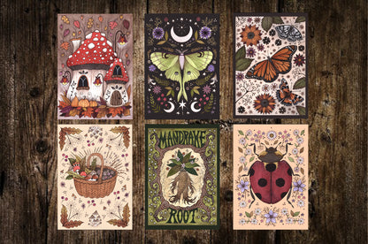 Set Of 6 Mini Flora & Fauna Prints - A6 Botanical Nature Moth Bugs Toadstool Illustration Decor - Mini Gallery Wall Set Cottagecore Decor