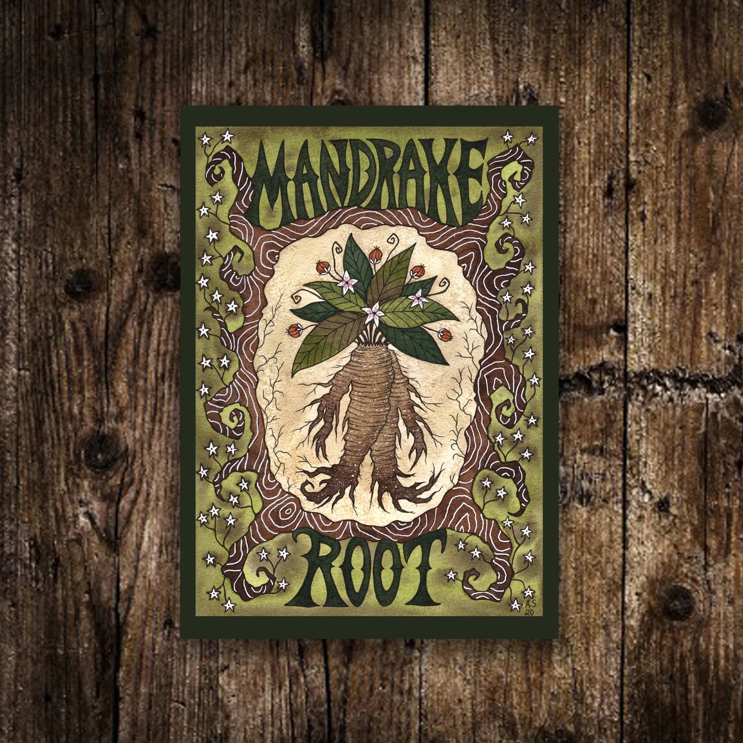 Mini A6 Mandrake Root Print - Small Green Witches Garden Botanical Illustration - Mystical Magic Postcard Art Print - Green Hedgewitch Decor